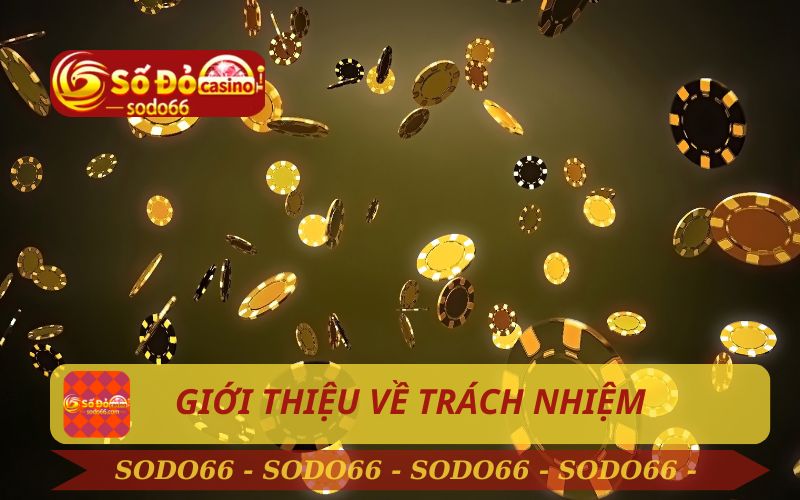 GIỚI THIỆU VỀ QUYỀN VÀ TRÁCH NHIỆM CỦA NGƯỜI CHƠI TẠI SODO66